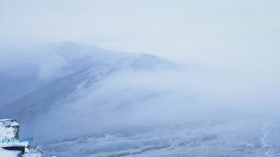 mmexport1705475098100