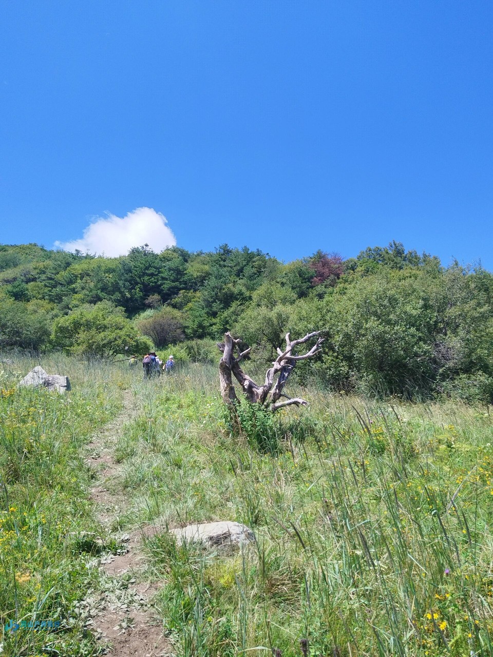 微信图片_20240323010622