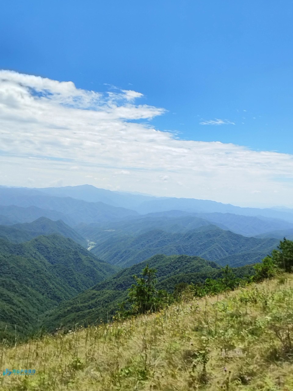 微信图片_20240323010625