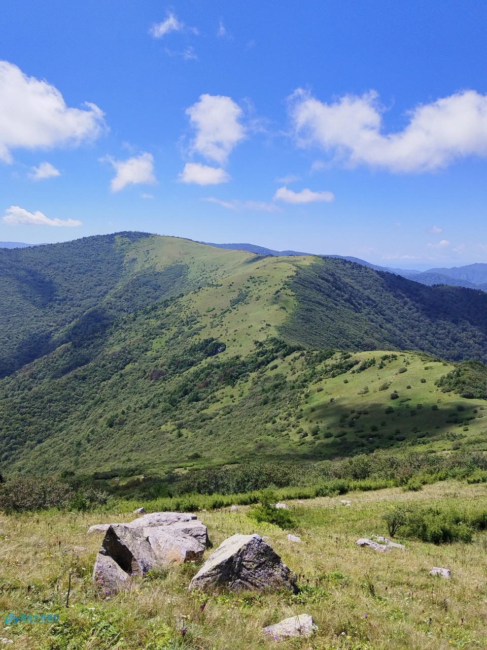 微信图片_20240323010629