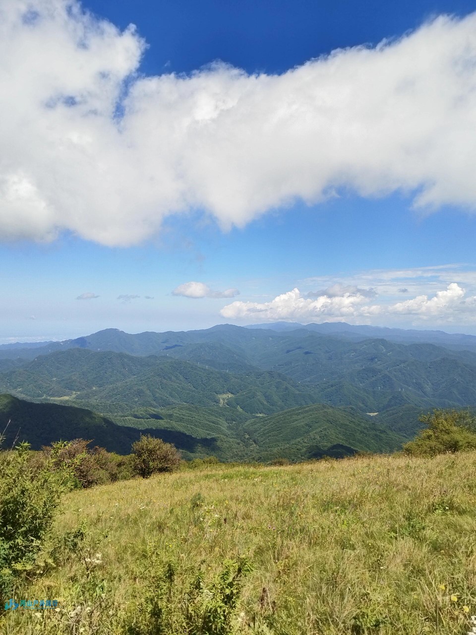 微信图片_20240323010634