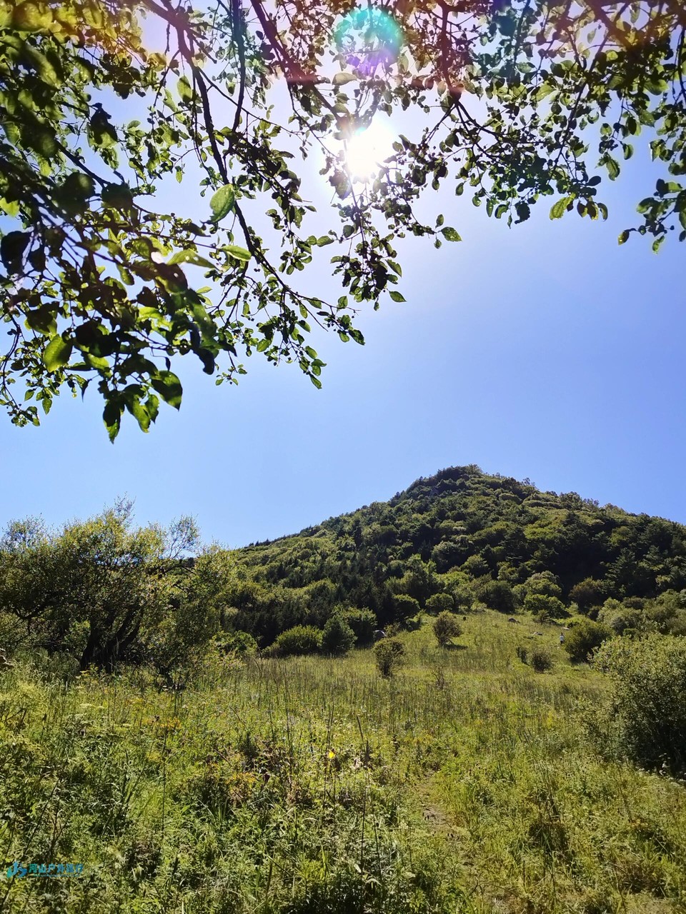 微信图片_20240323010638