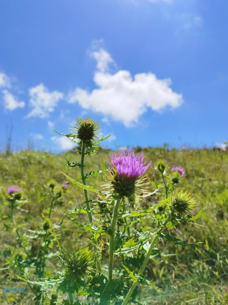 微信图片_20240323010643