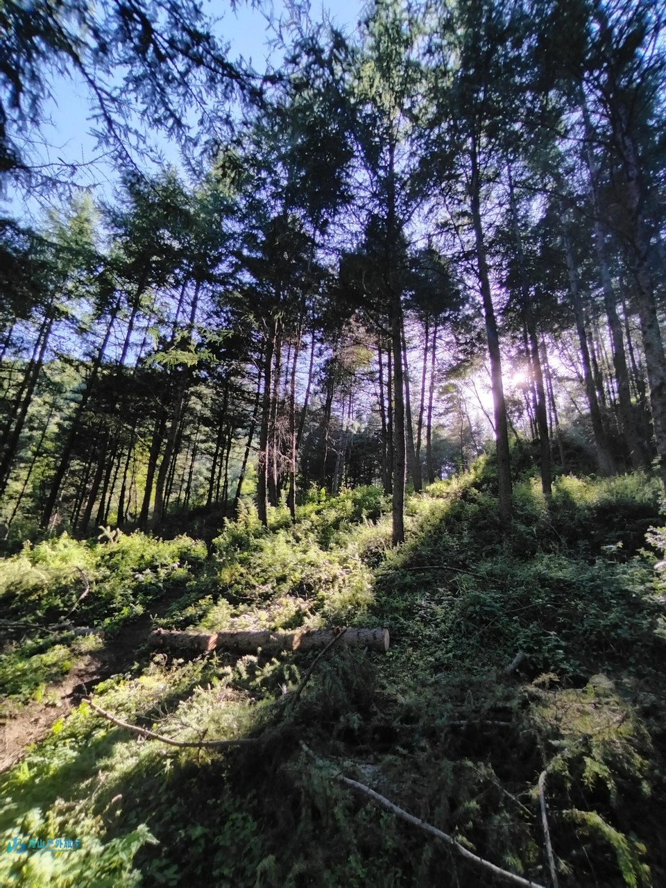 微信图片_20240323010652