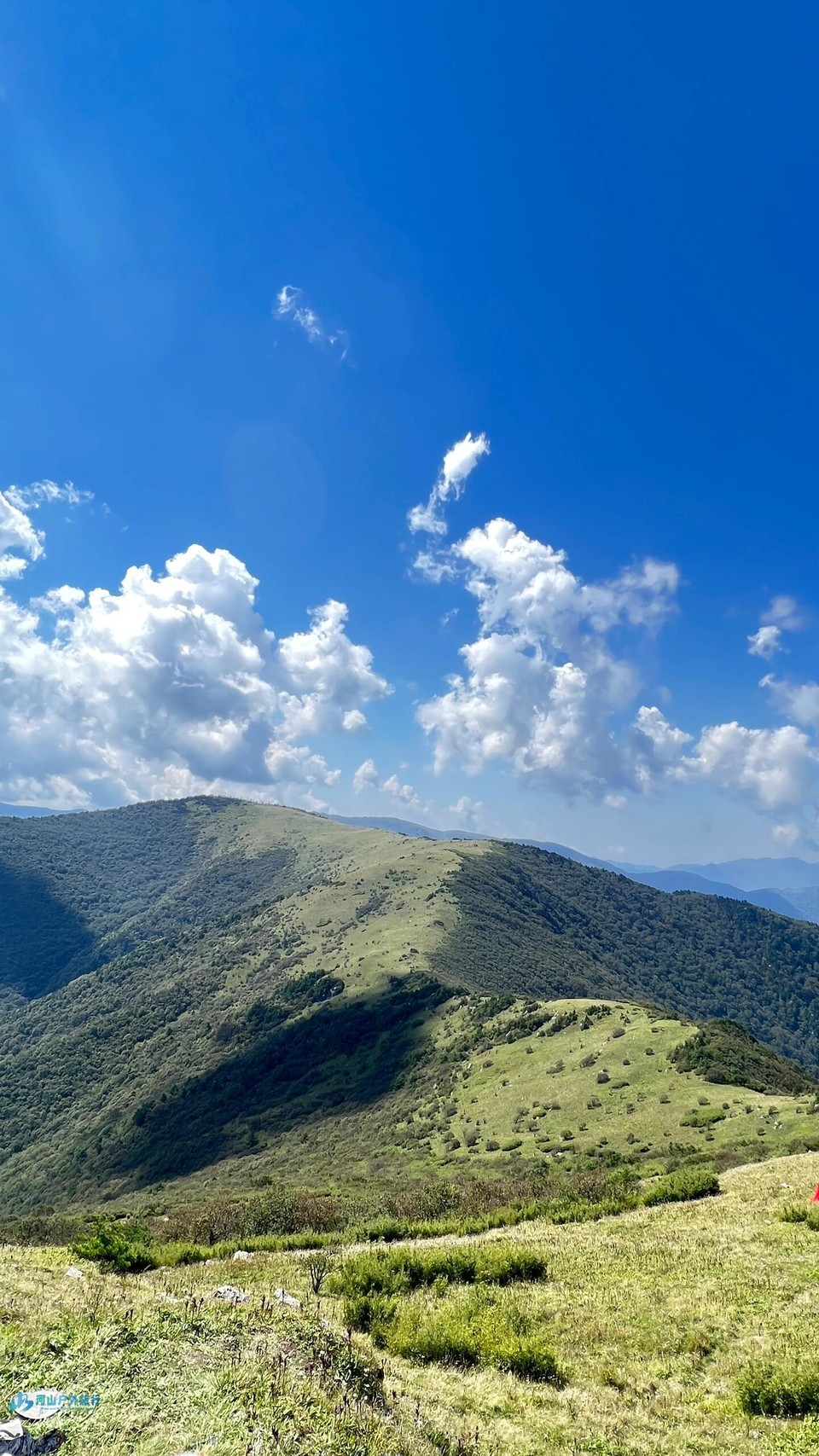 微信图片_20240323010701