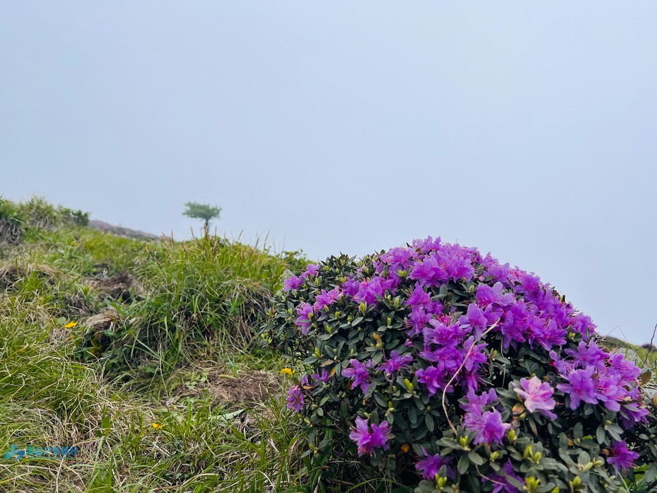 mmexport1717517704726