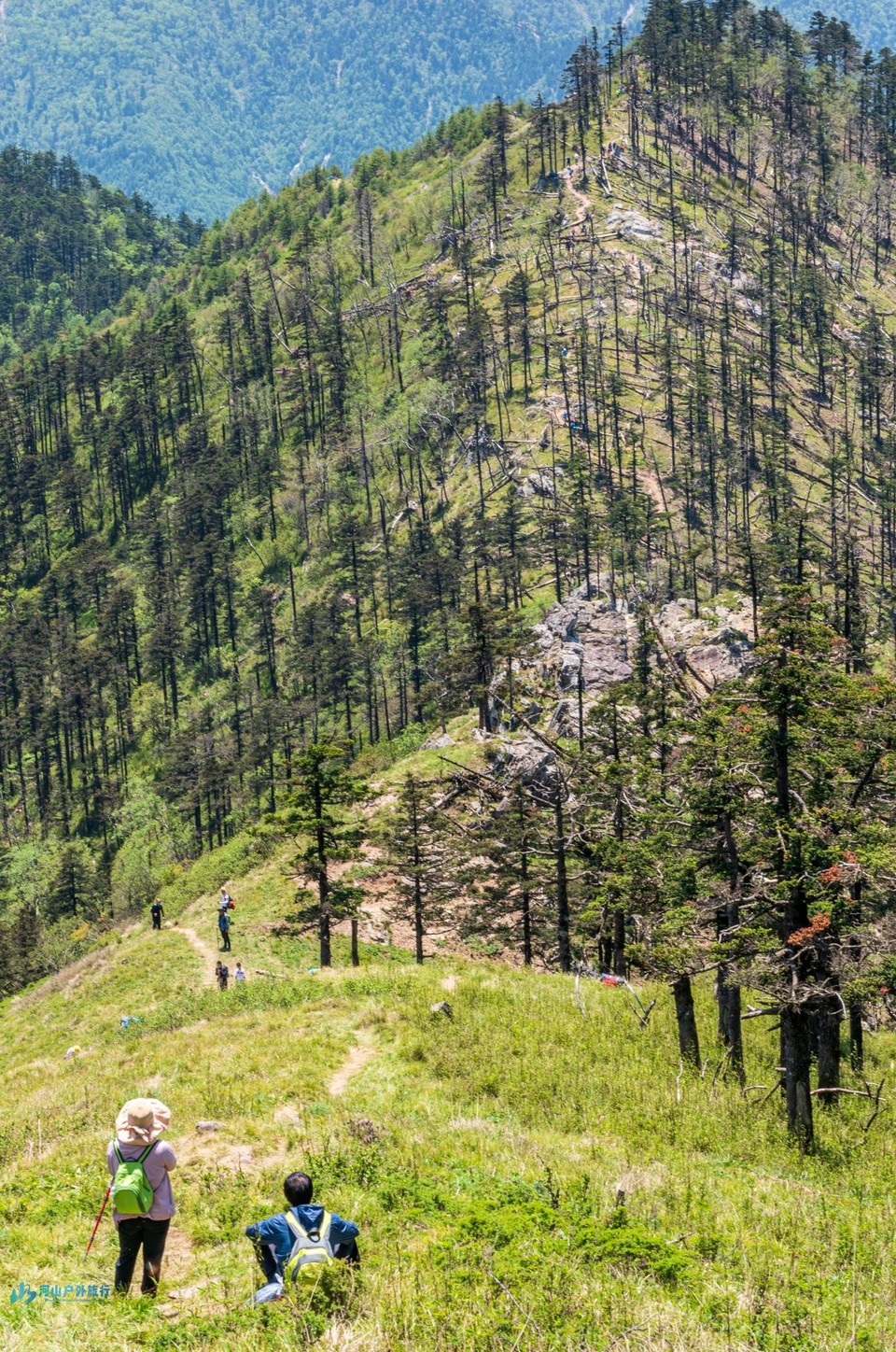 微信图片_20240430002607