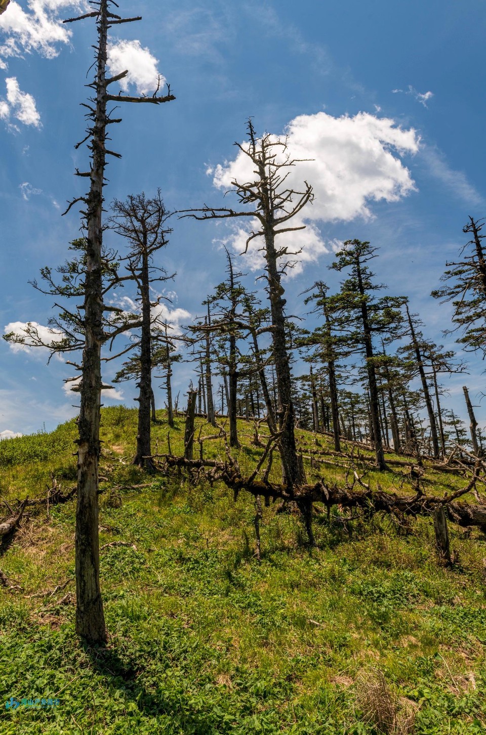 微信图片_20240430002611