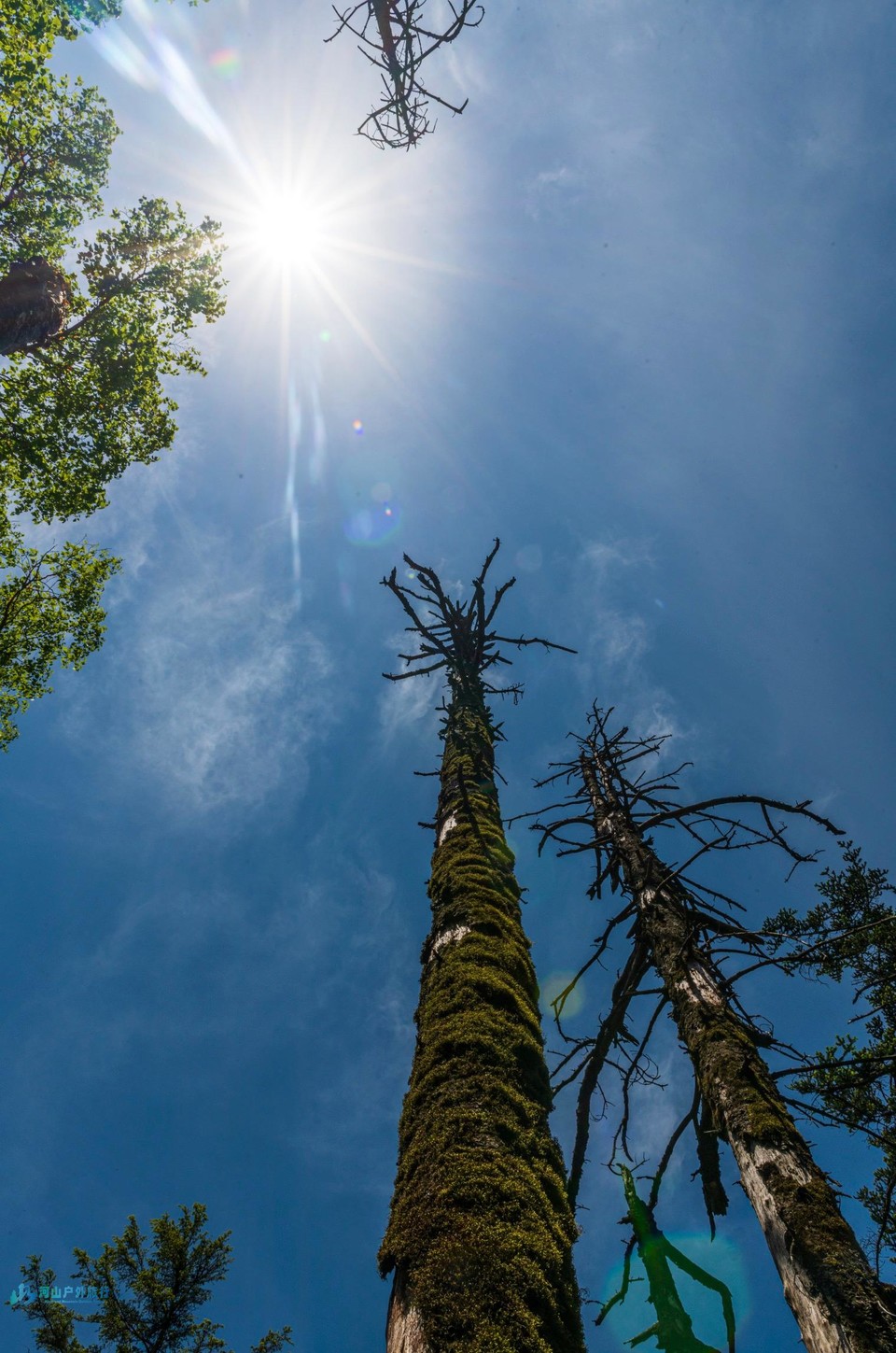 微信图片_20240430002615