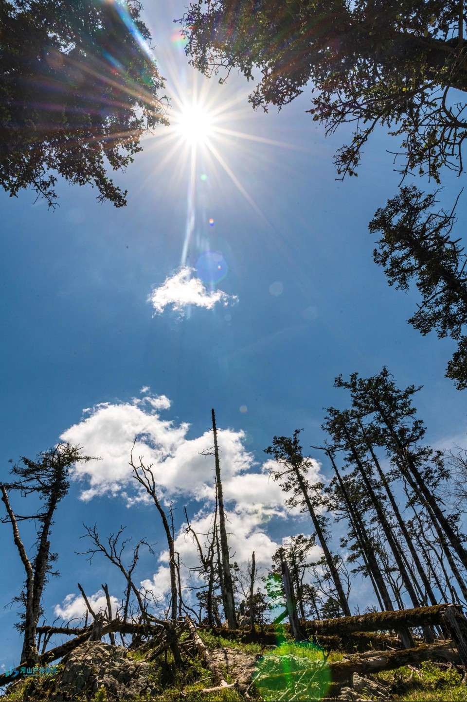 微信图片_20240430002619