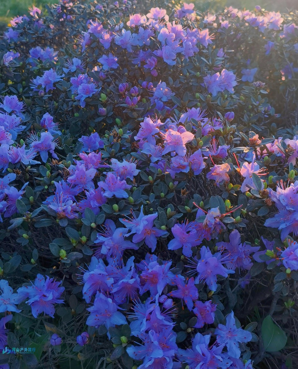 微信图片_20240430002645