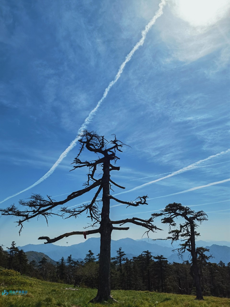 微信图片_20240430002709