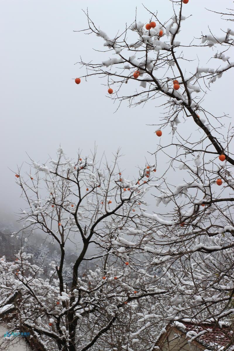 微信图片_20241120174317