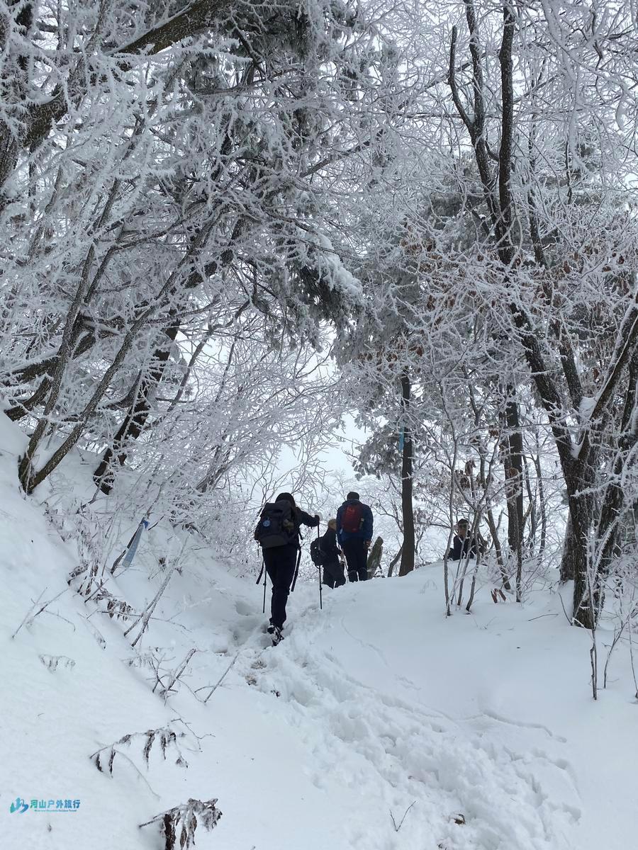 微信图片_20241120174411