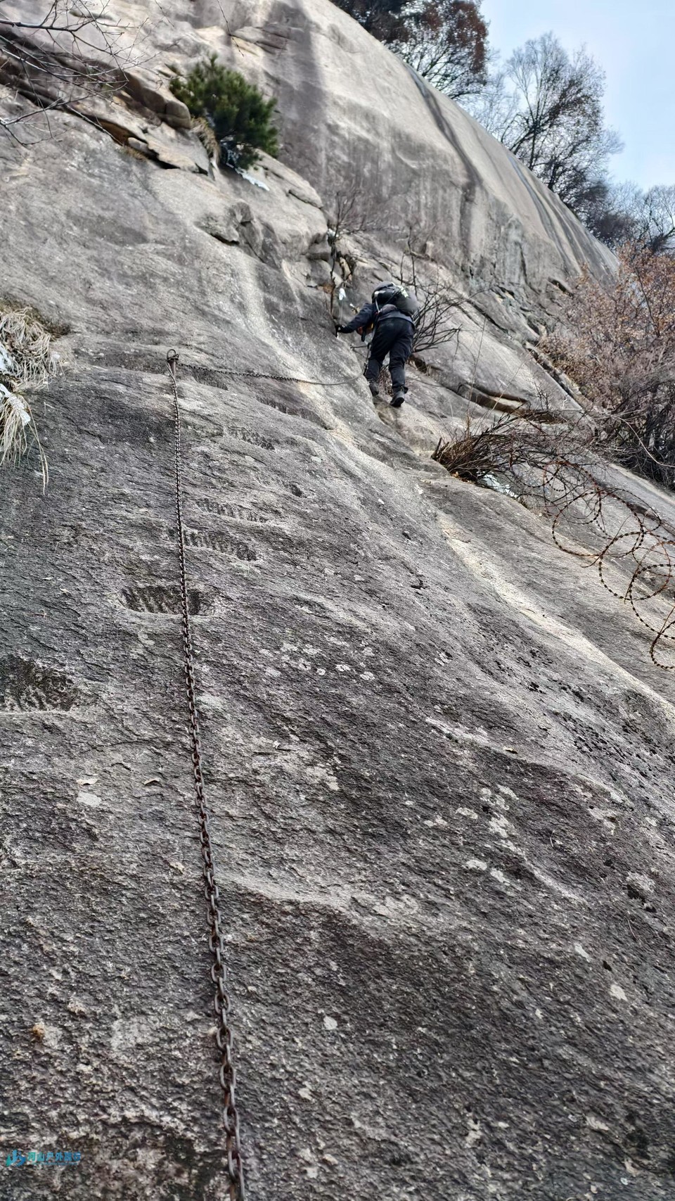 微信图片_20250111223137