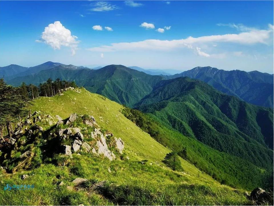 微信截图_20240403175934