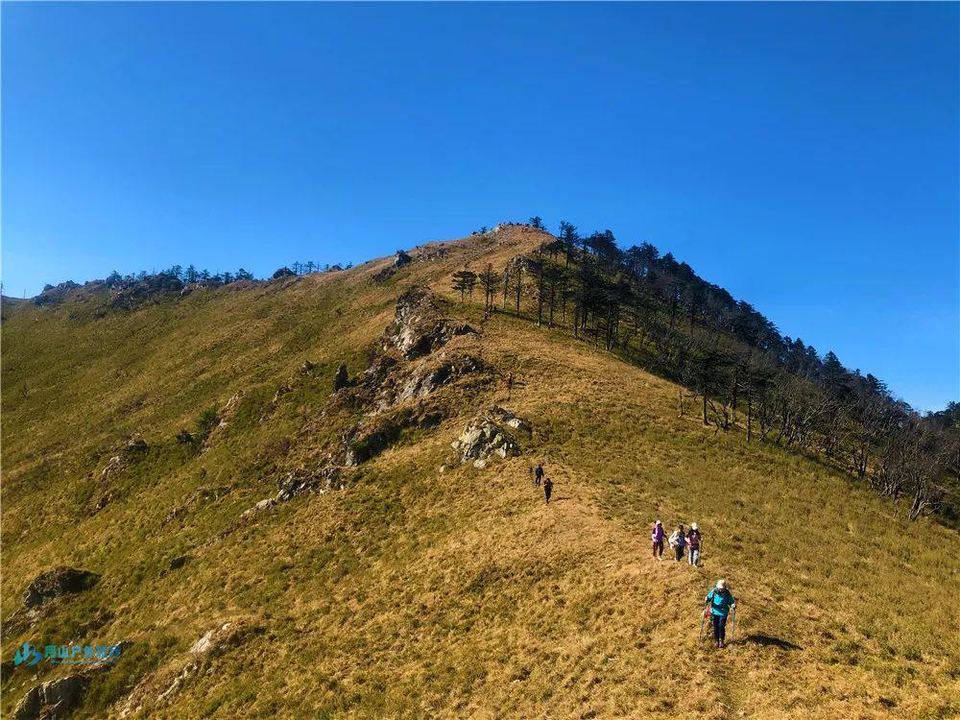 微信图片_20240314235222