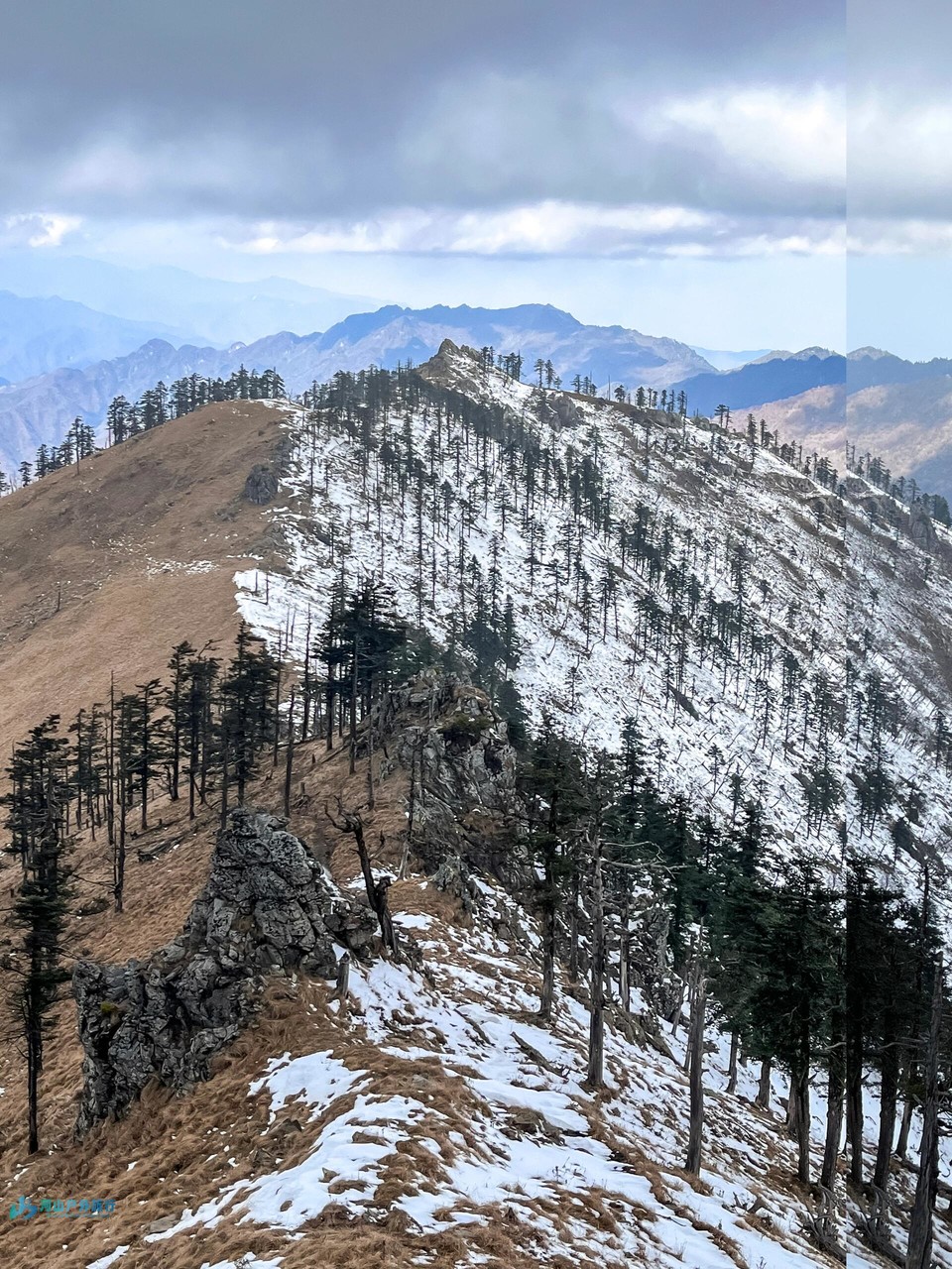 微信图片_20240325145733