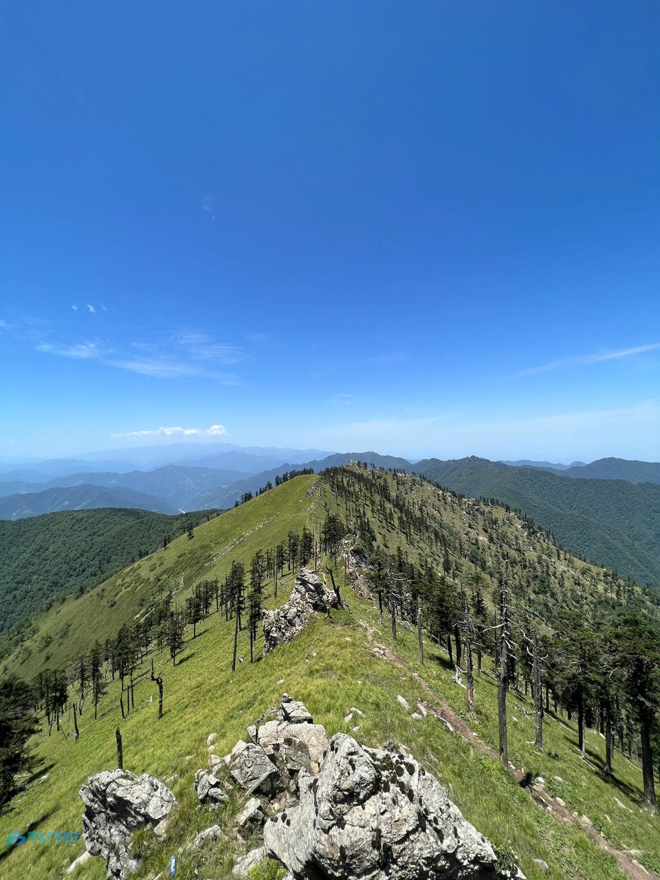 微信图片_20240325145749