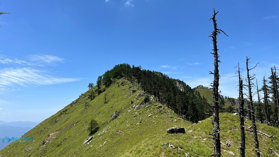 微信图片_20240325145753