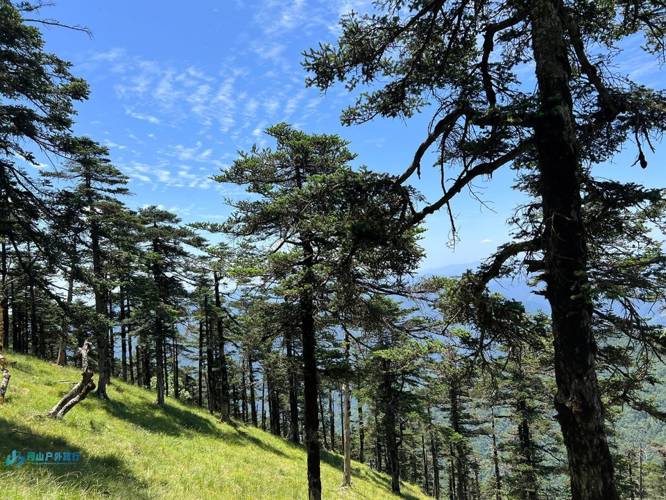 微信图片_20240325145757