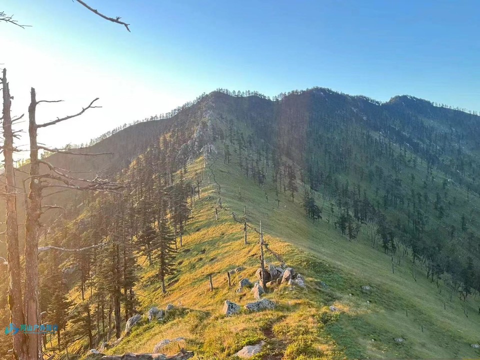 微信图片_20240621151257