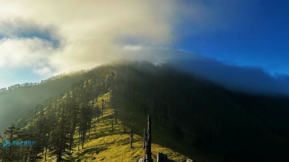 微信图片_20240621151300