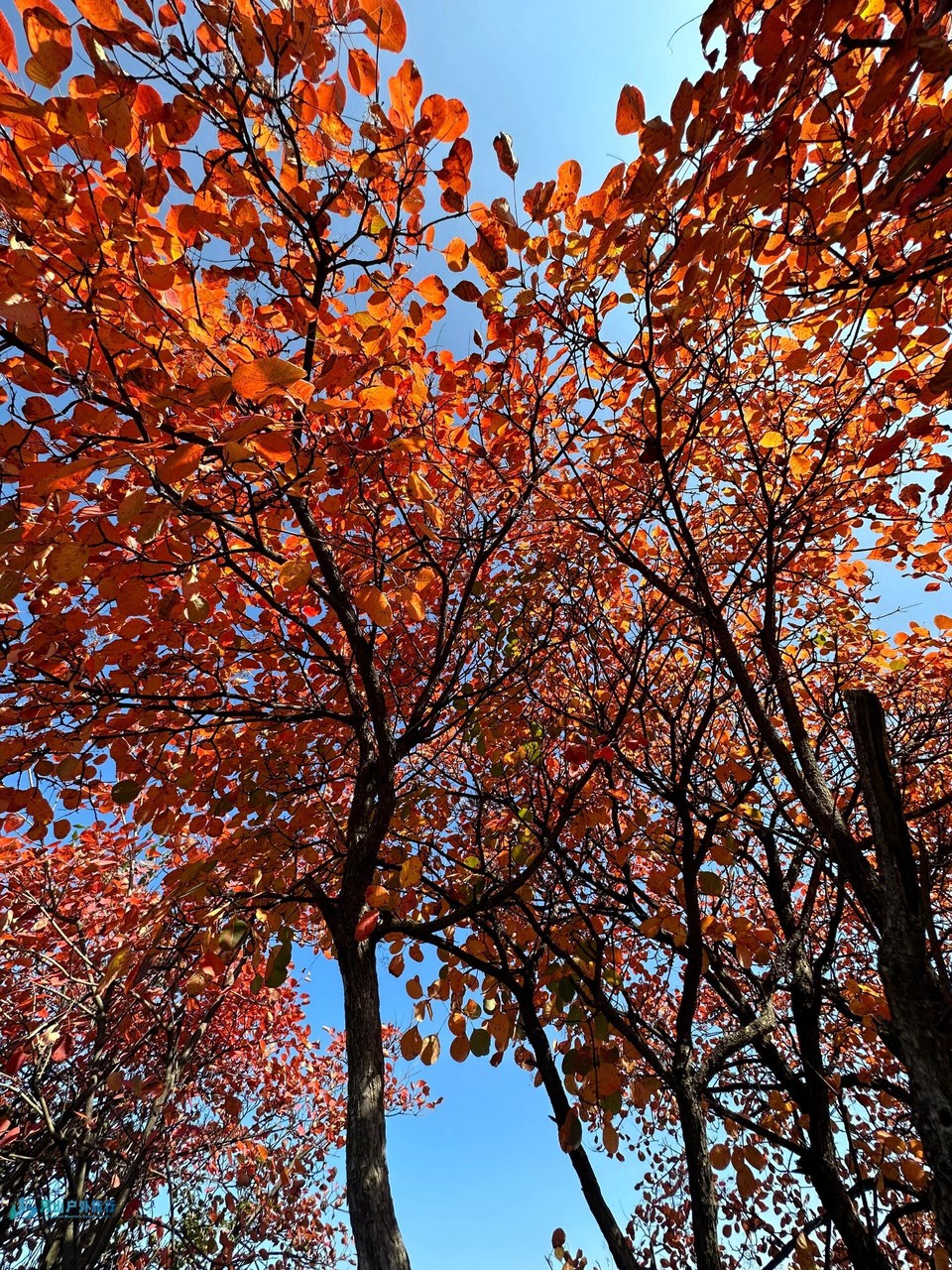 微信图片_20241023153853