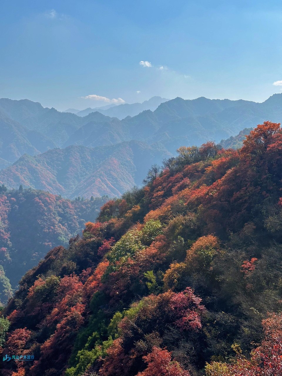 微信图片_20241023153856