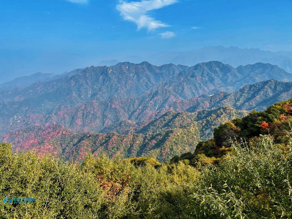 微信图片_20241023153904