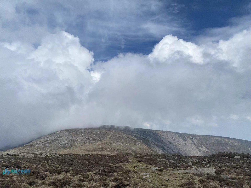 mmexport1717432630609