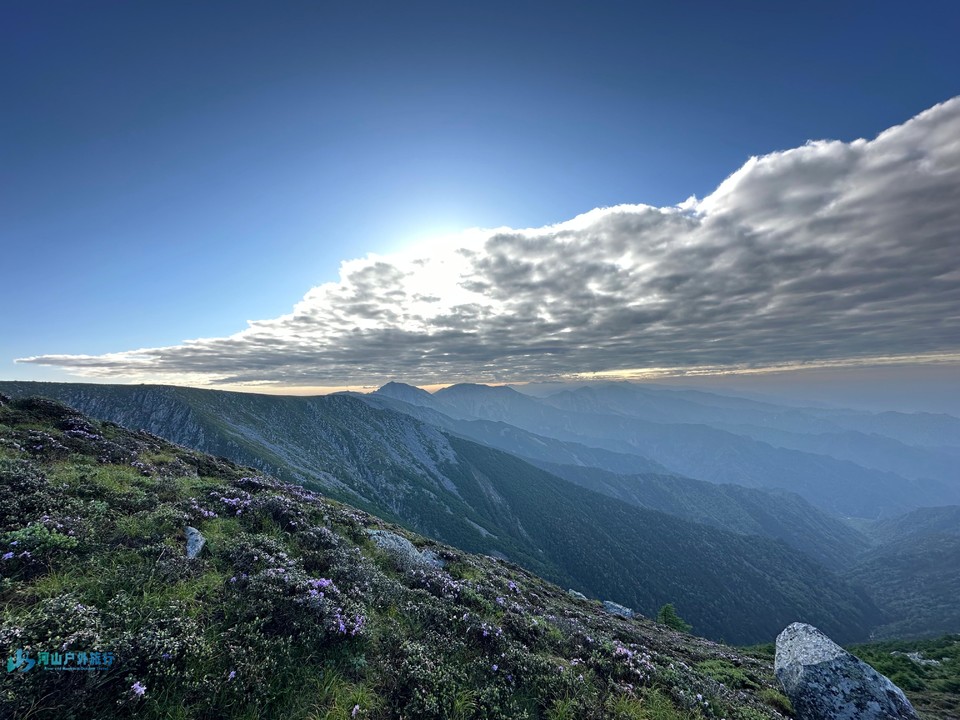 mmexport1718263711749