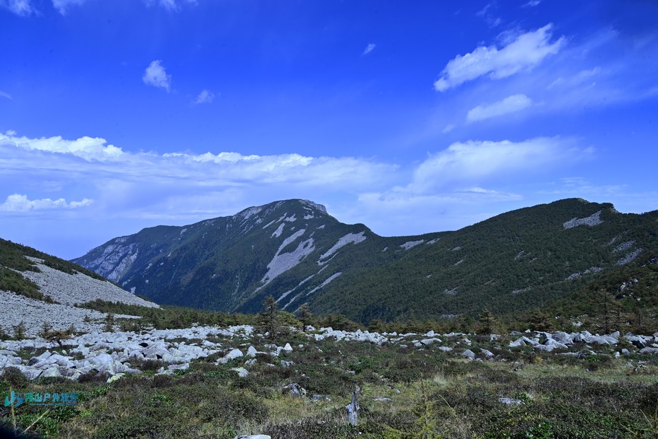 mmexport1728113359874