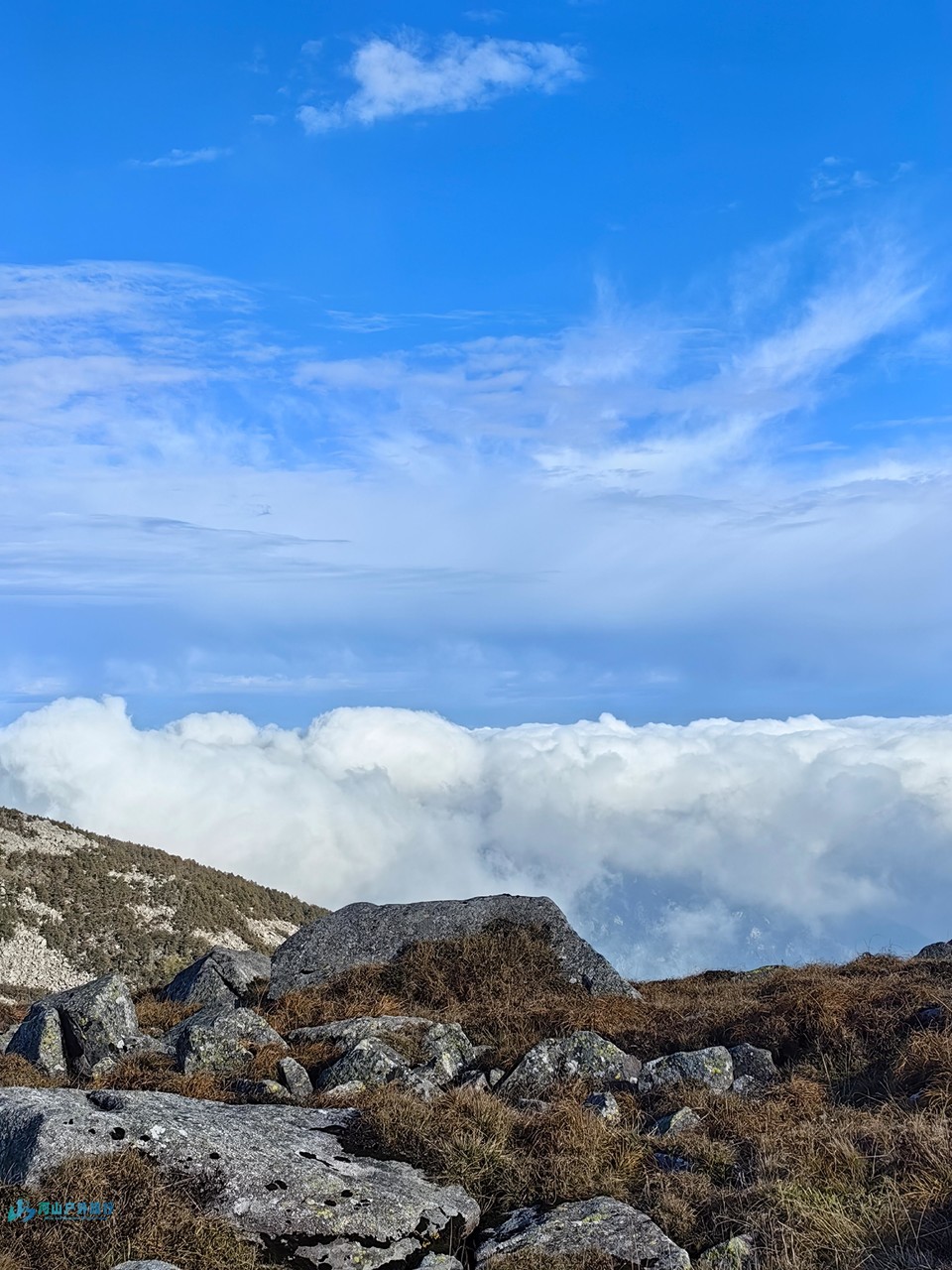 mmexport1728113554111