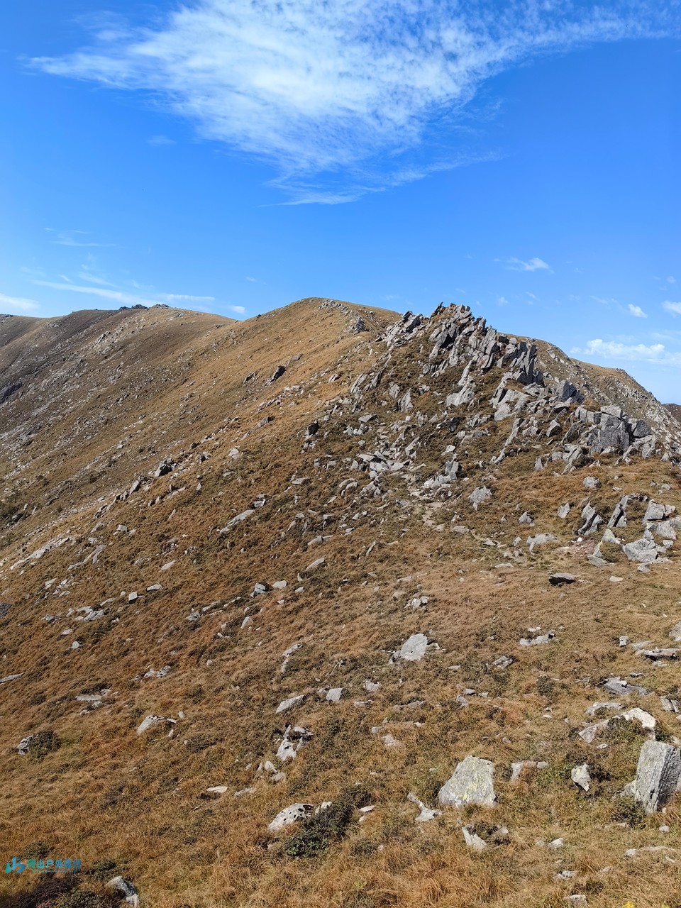 mmexport1728113597319