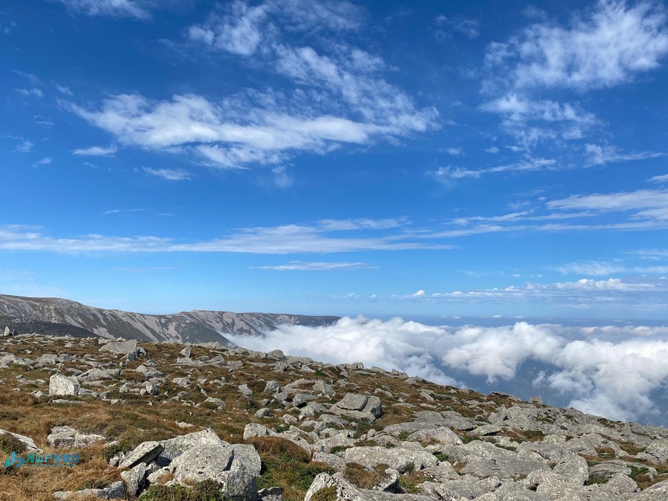 mmexport1728114338489