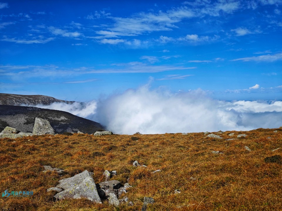 mmexport1728115071320