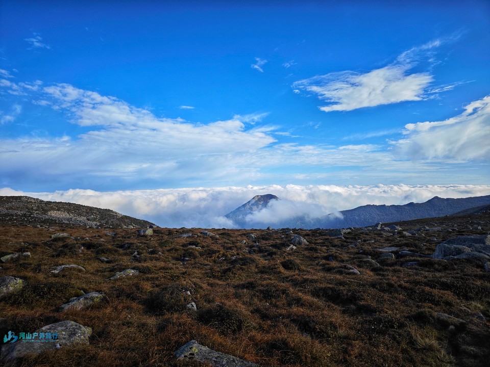 mmexport1728115088353