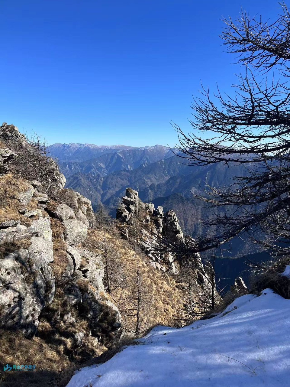 mmexport1728367167825