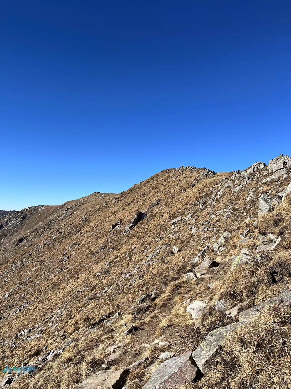 mmexport1728367175397