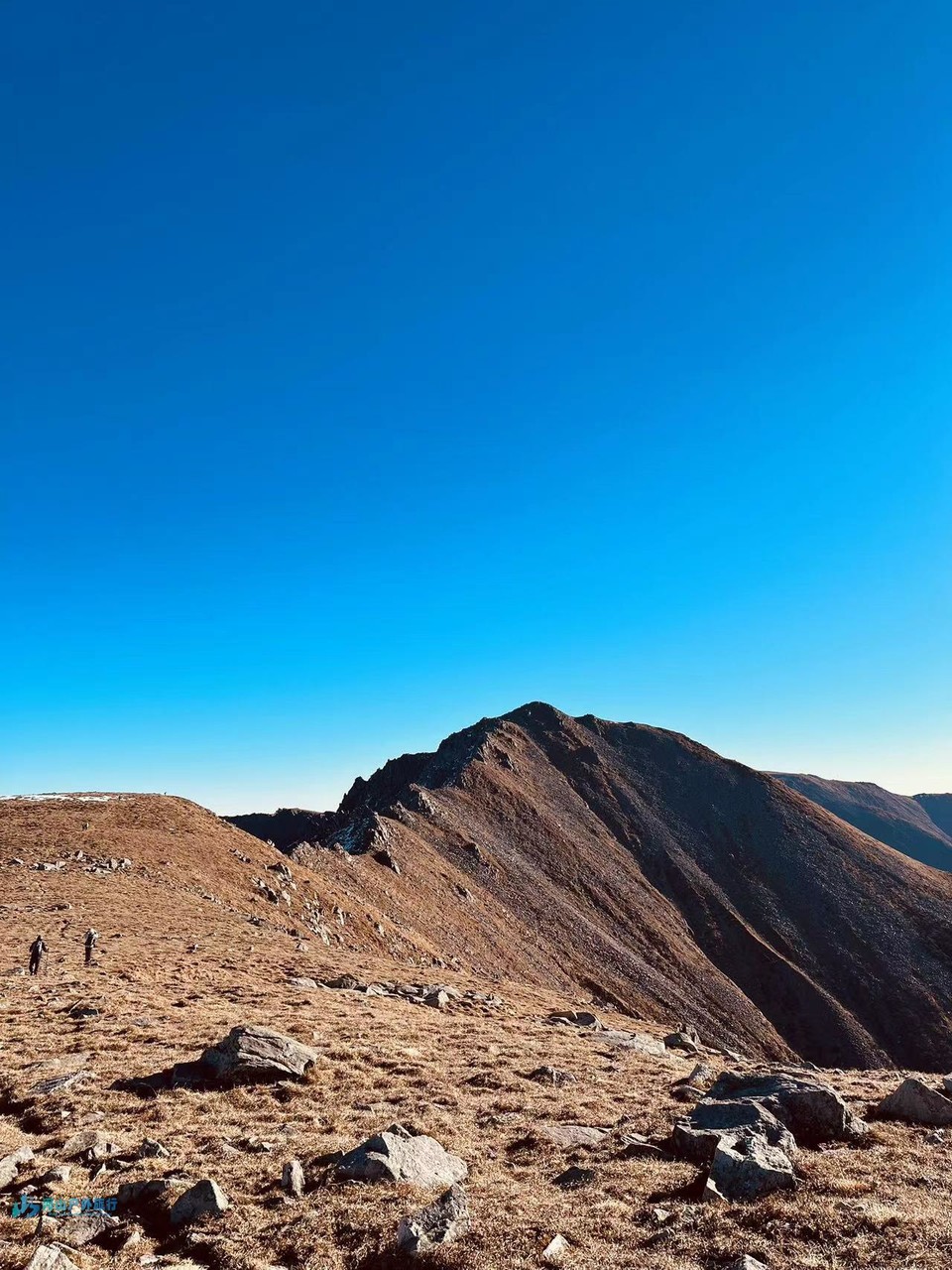 mmexport1728367178150