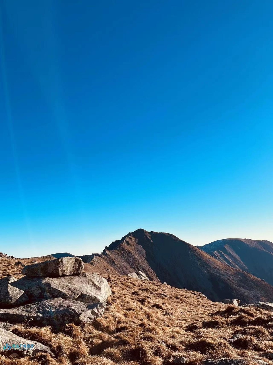 mmexport1728367181252