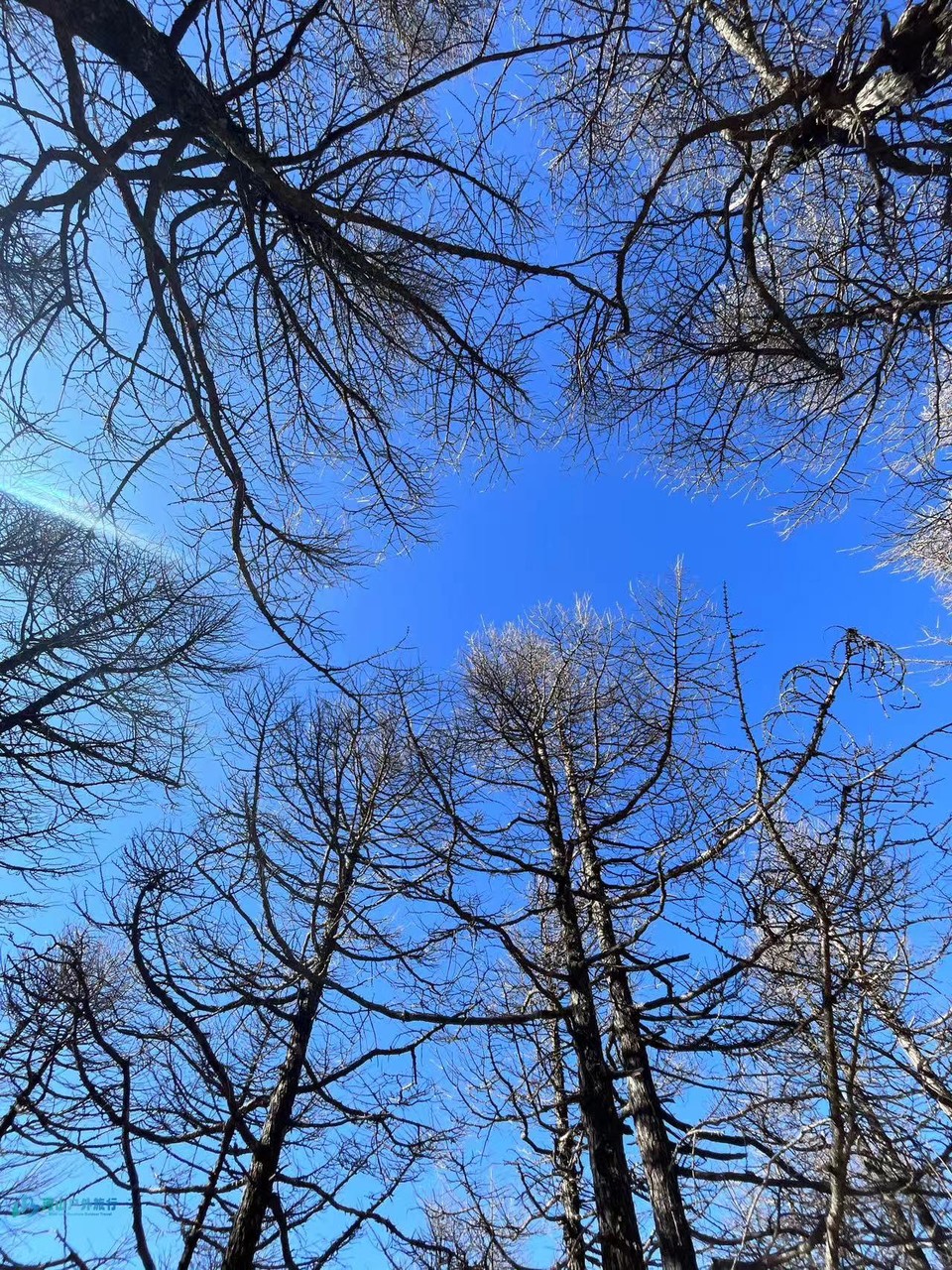 mmexport1728397239642