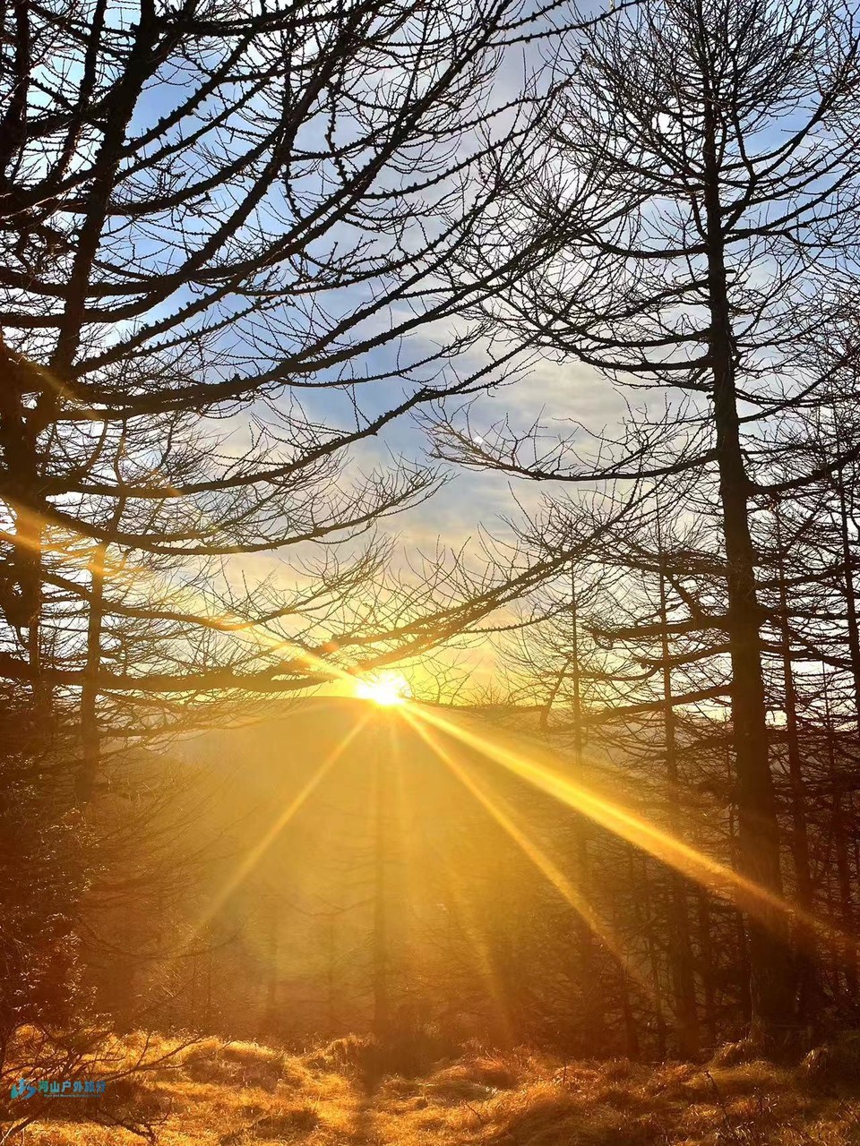 mmexport1728397245517