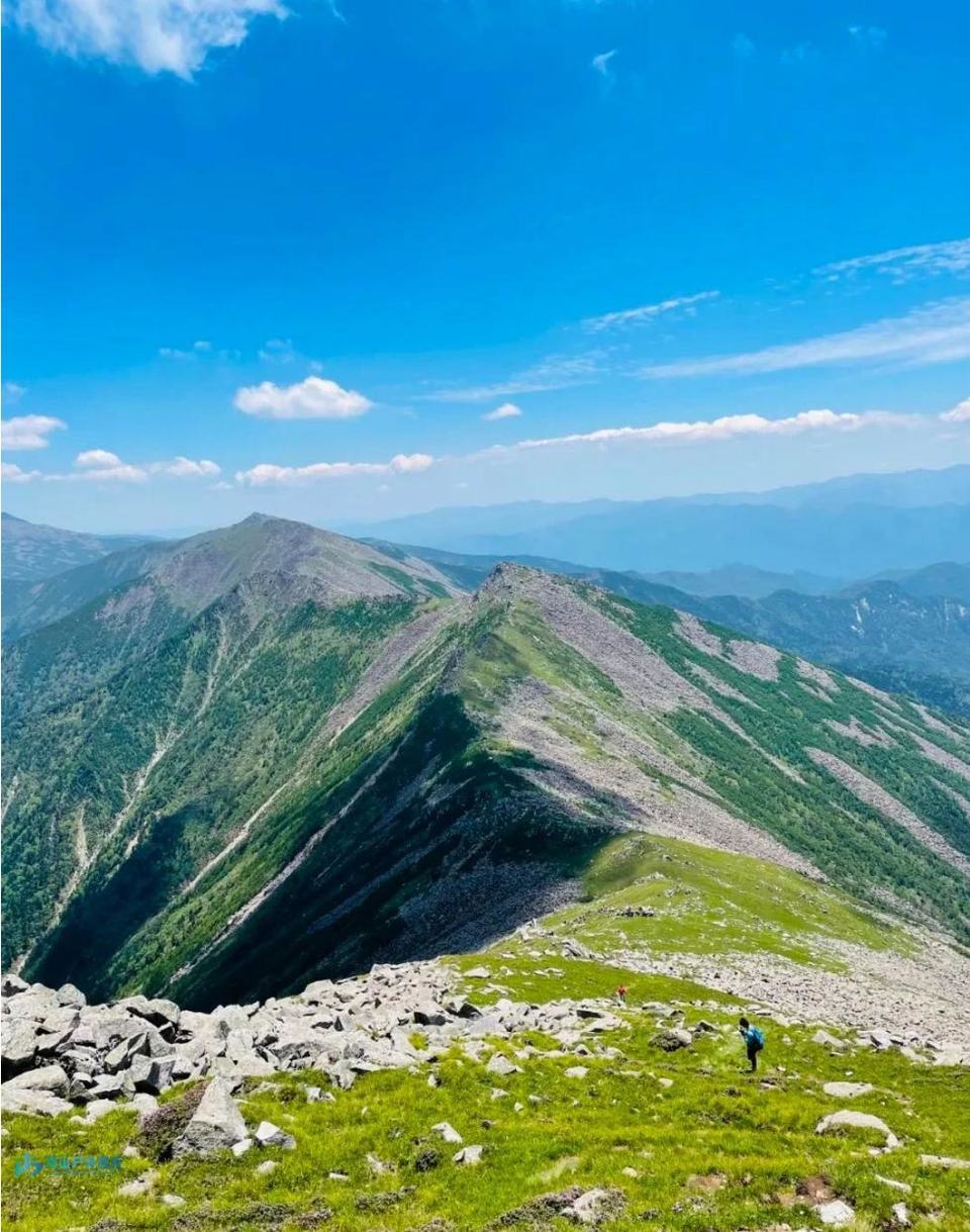 微信图片_20240315000452