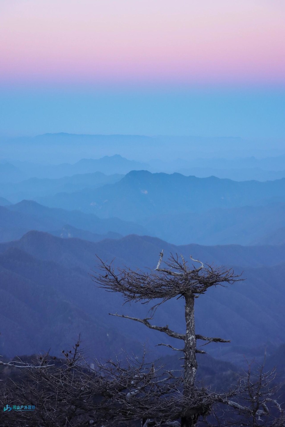 微信图片_20240324170908