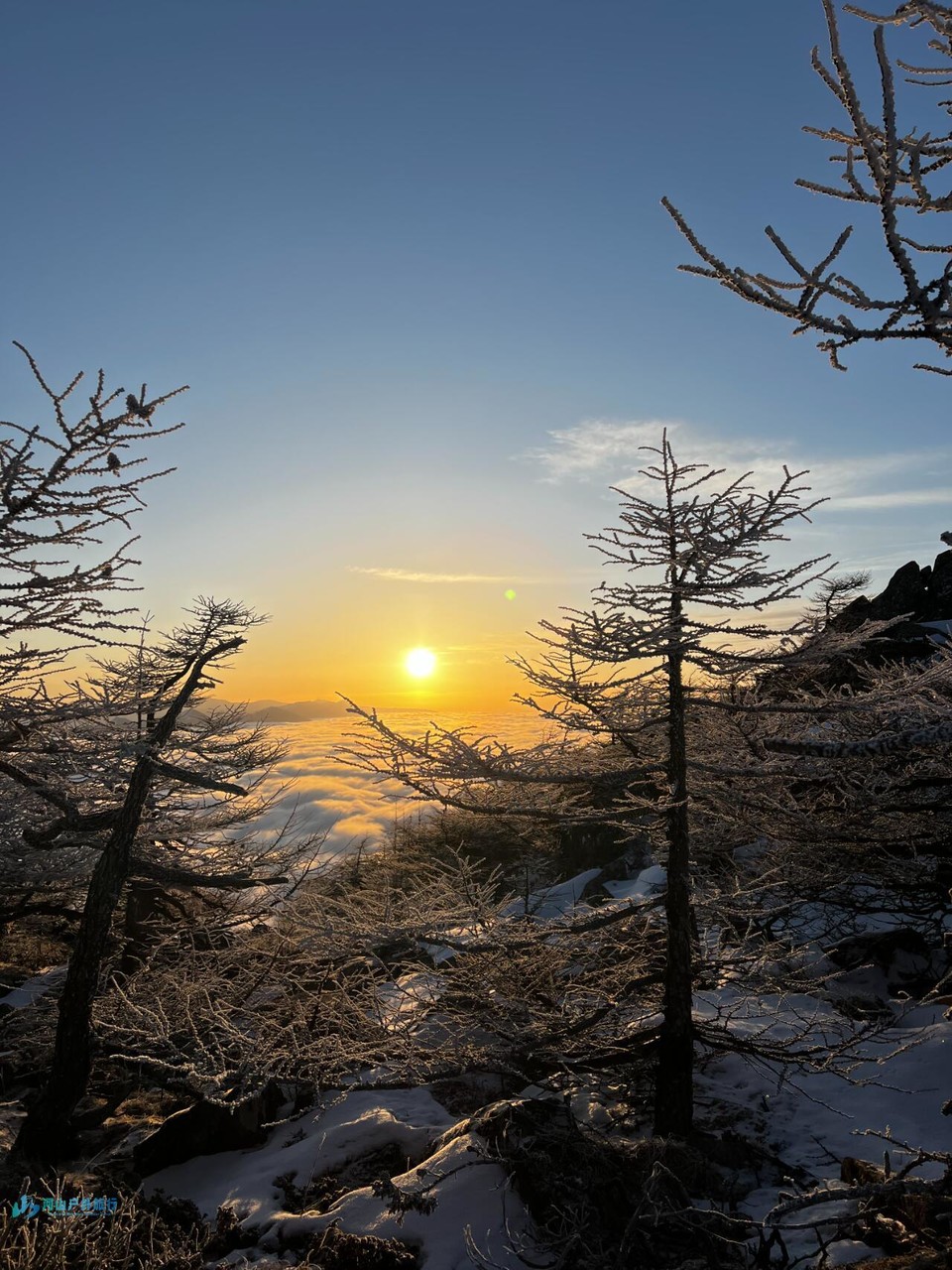 微信图片_20240324170959