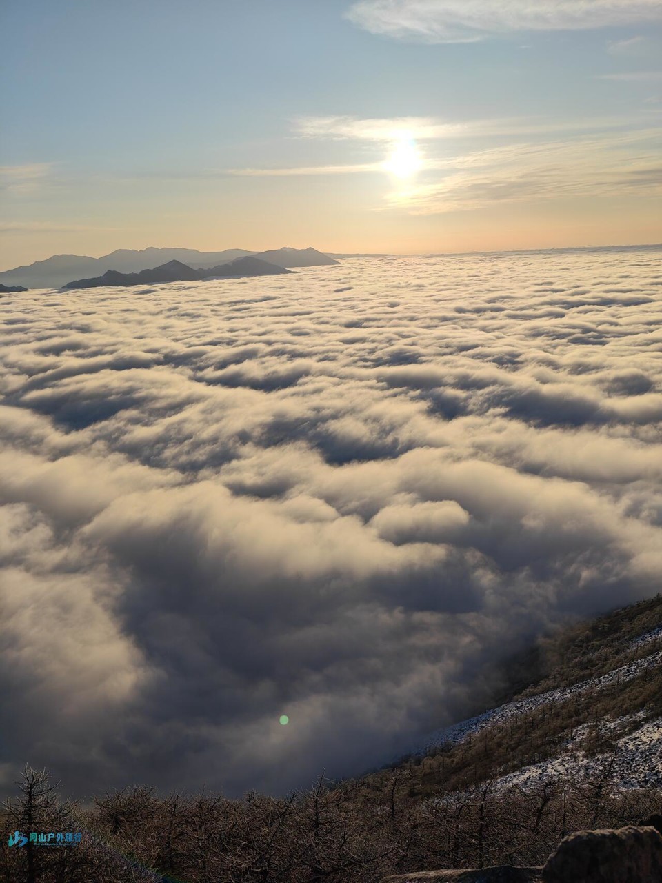 微信图片_20240324171007