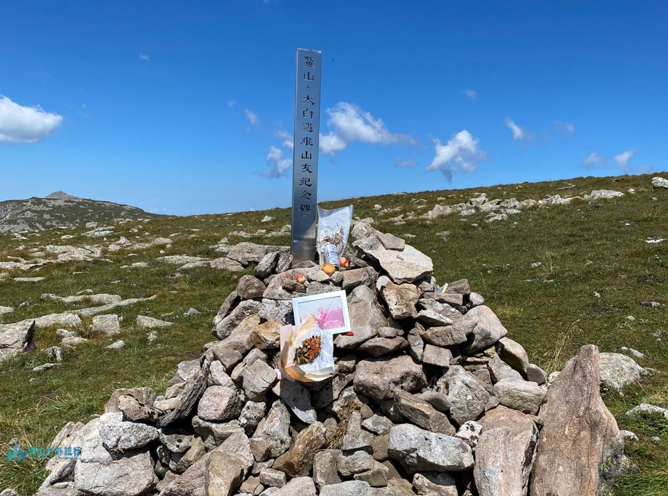 微信截图_20240903235538