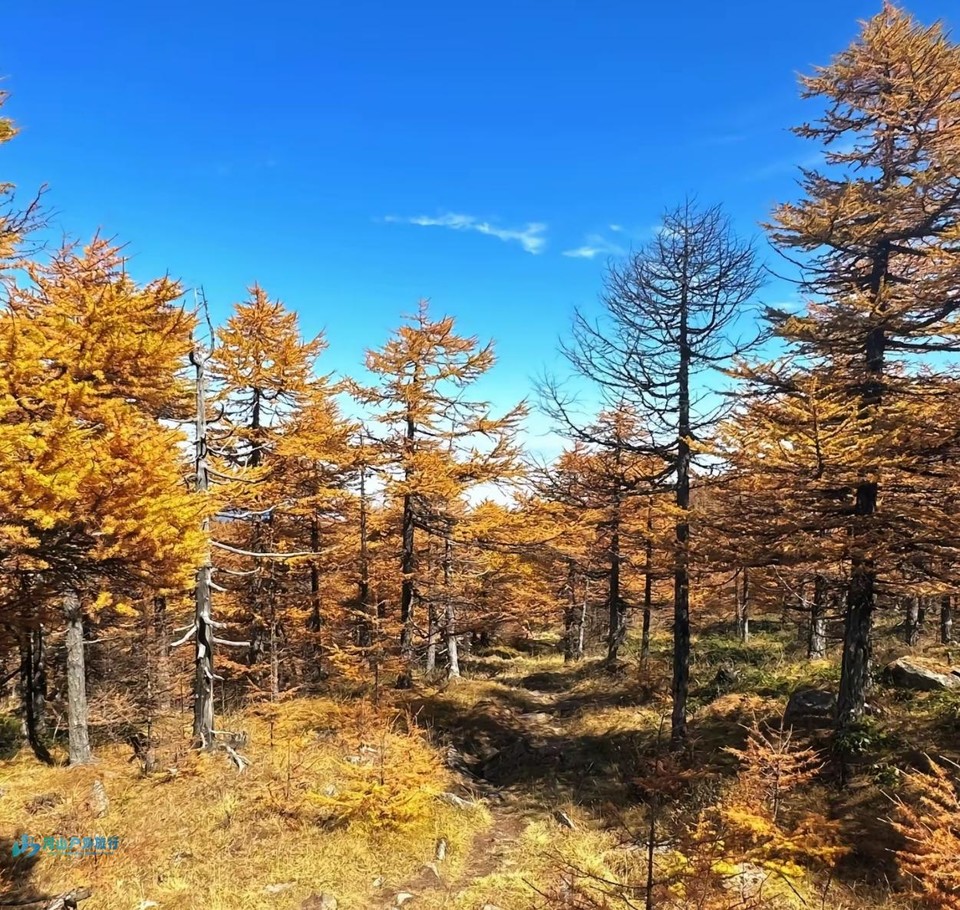 微信截图_20240903235627